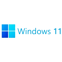 Windows 11